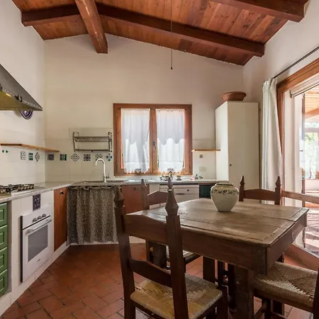 Abba Arrubia * Camisa