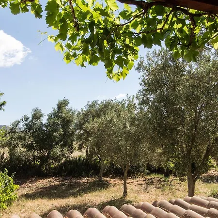 Apartmán Abba Arrubia *