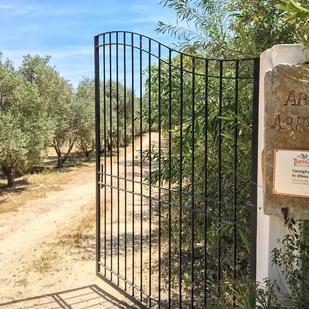 Abba Arrubia * Camisa